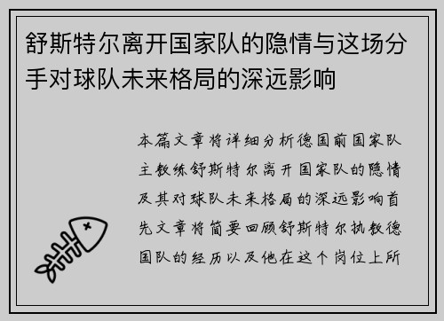 舒斯特尔离开国家队的隐情与这场分手对球队未来格局的深远影响 舒斯特尔离开国家队的隐情与这场分手对球队未来格局的深远影响
